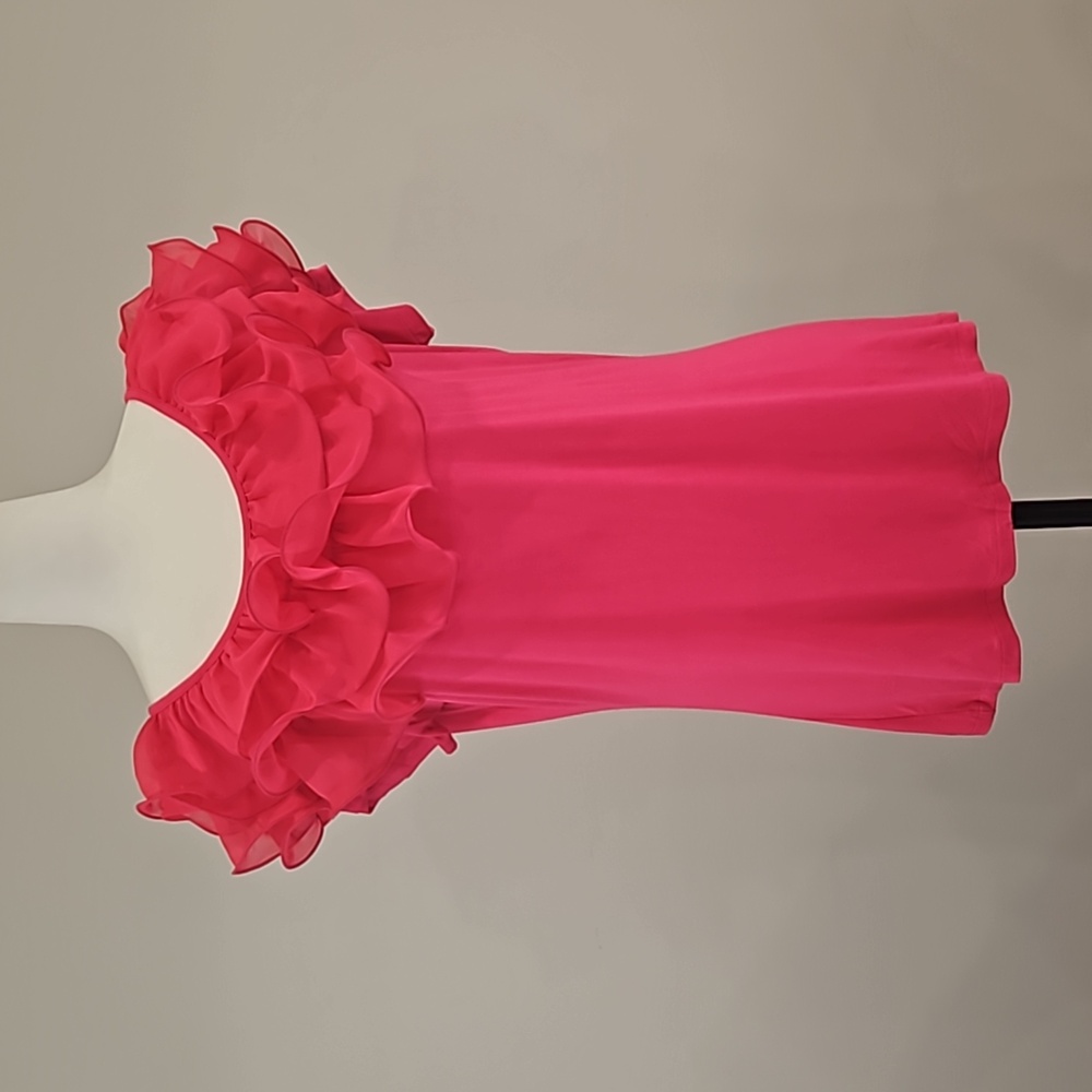 NWT Anna Bella Fuschia Pink Ruffle Blouse. LARGE.